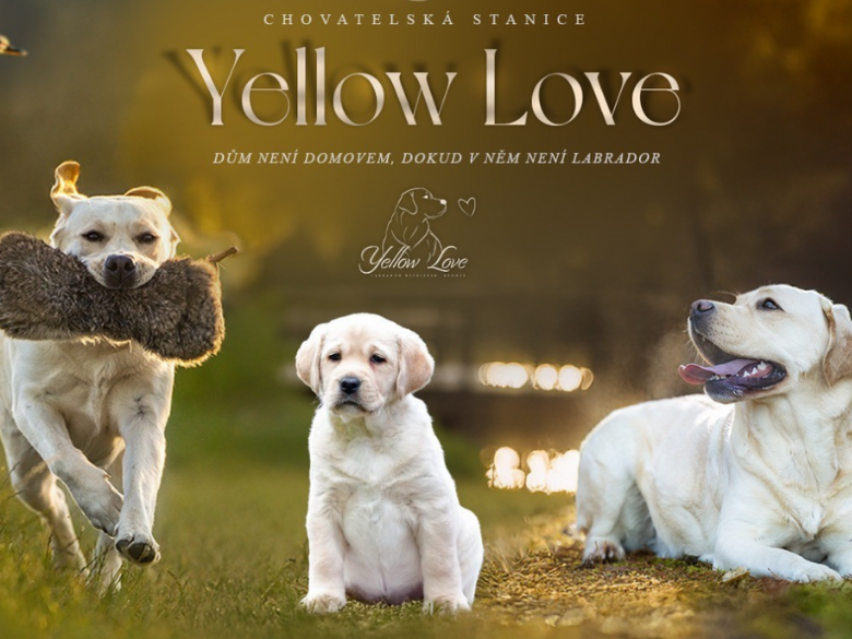 Návrh bez názvu (17)